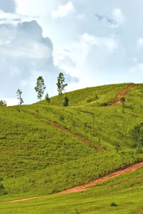Aamby Valley