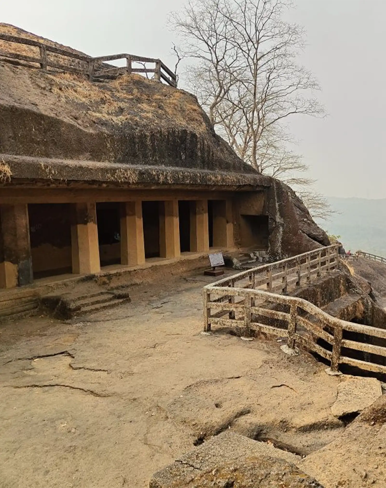 Bhaja Caves